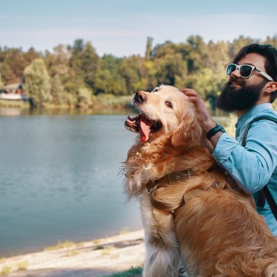 Best friends' concept - between human and animal. Angle view, young man hugging, tapping and sitting with his dog on the chair in the park, enjoying the view of the lake