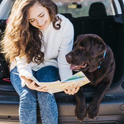 perro-negro-grande-en-coche